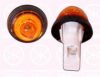 FIAT 0000004304308 Indicator